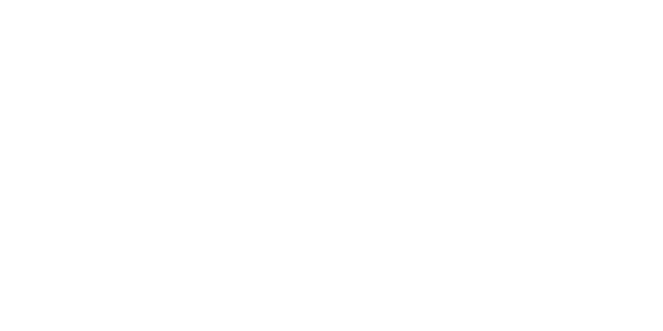 Cignes Academy Logo
